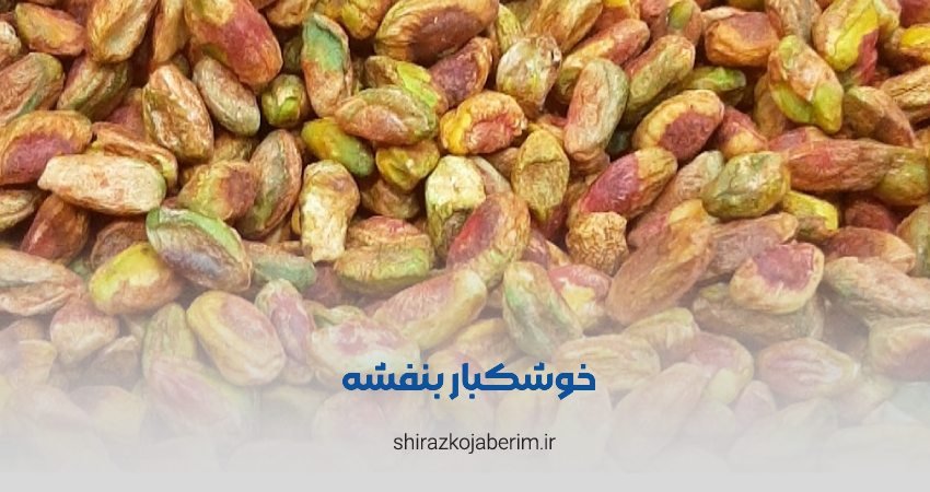 خشکبار بنفشه شیراز