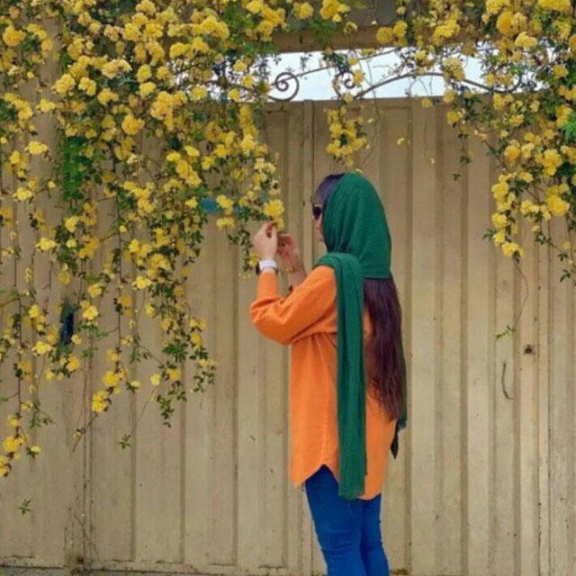 نوشین