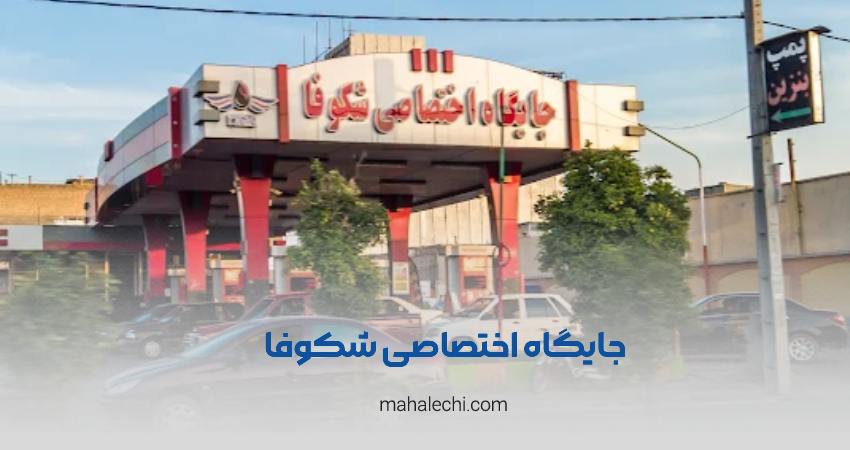 جایگاه اختصاصی شکوفا شیراز