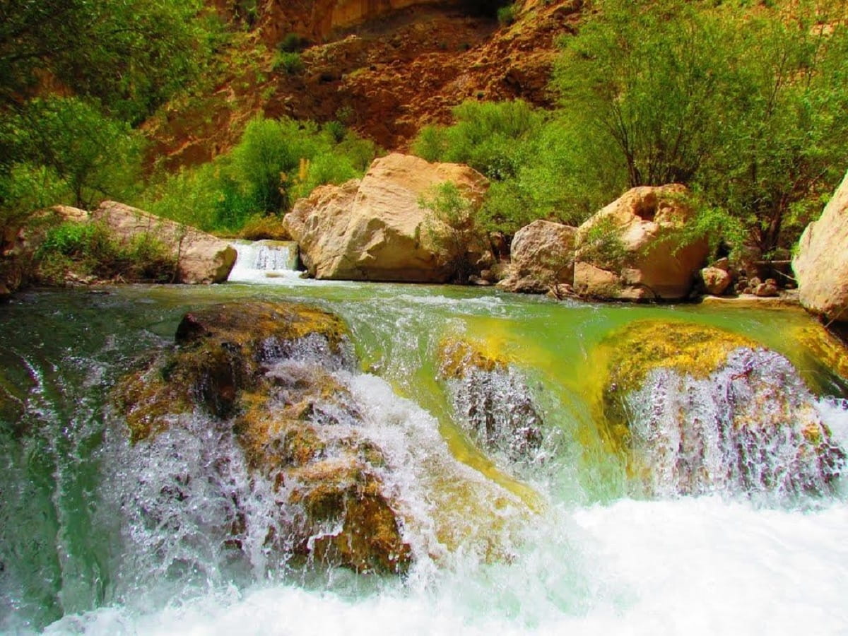 تنگ دم اسب