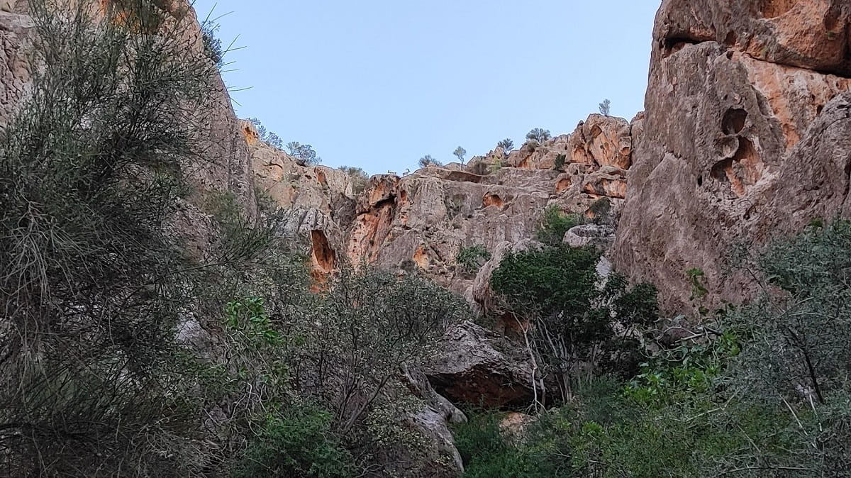 پارک ملی بمو
