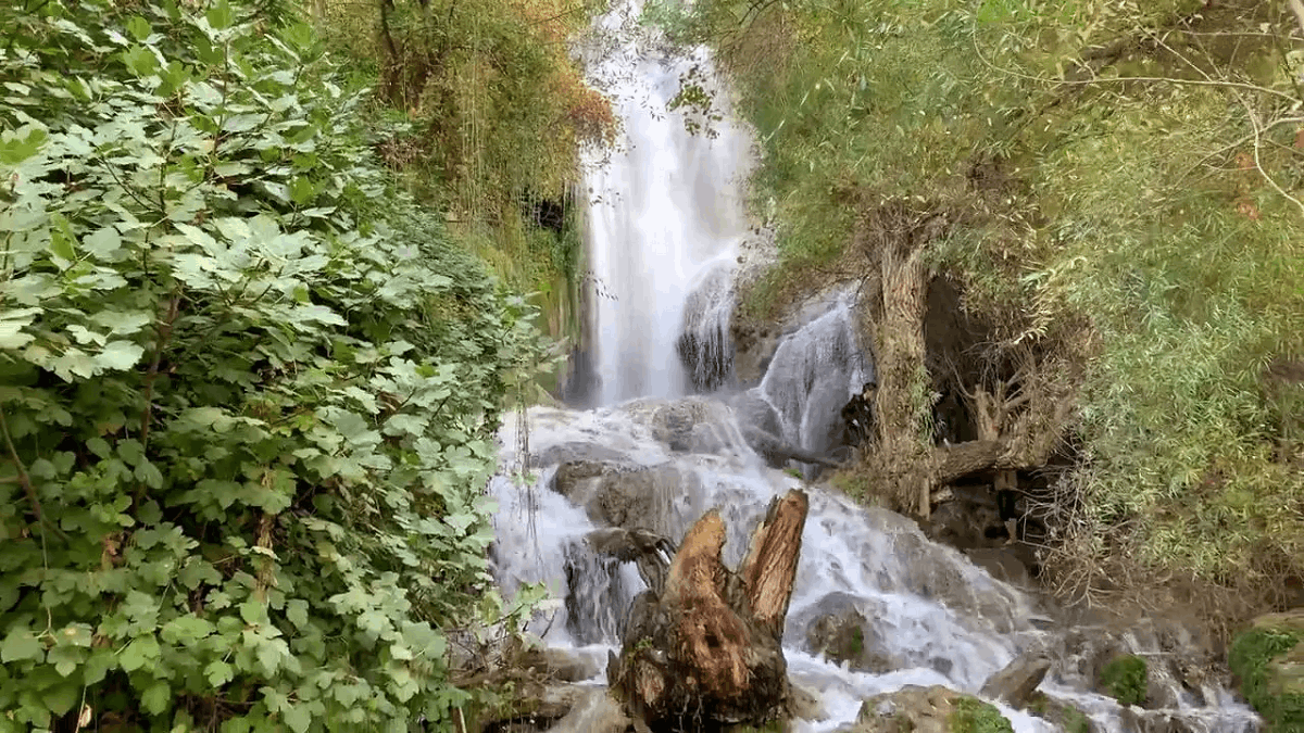 کوهمره سرخی